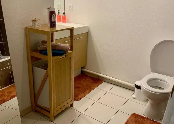 Agreable 2 Pieces Climatise Parking Gratuit Antibes